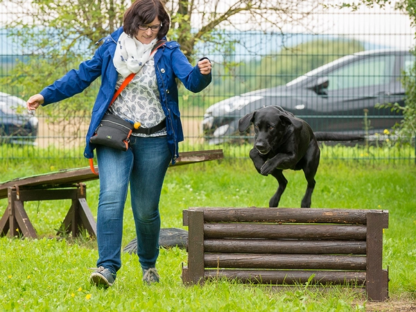 Eine Frau in blauer Jacke und Jeans leitet einen schwarzen Hund an, der über ein hölzernes Agility-Hindernis springt. Dynamische Tierfotografie.